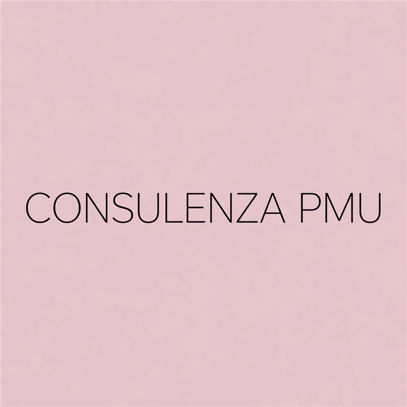 CONSULENZA PMU